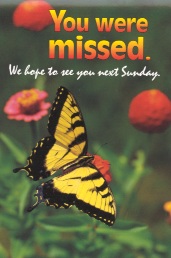 We Missed You-butterfly